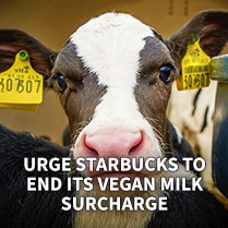 Urge Starbucks to End Its Vegan Milk Surcharge