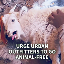 Urge Urban Outfitters To Go Animal-Free