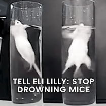 TELL ELI LILLY: STOP DROWNING MICE