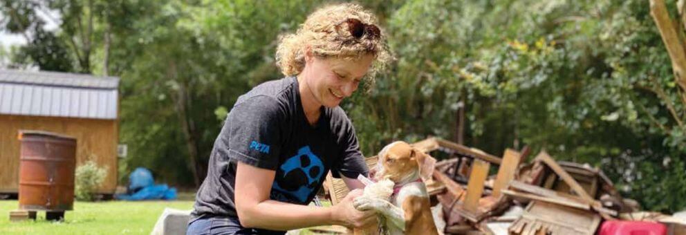 Animals are not ours to abuse in any other way